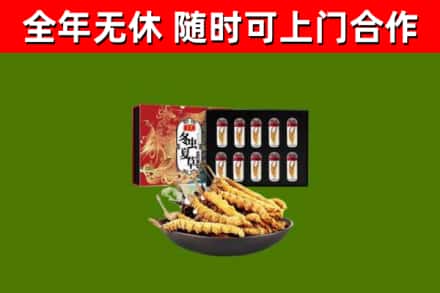 九原区回收冬虫夏草价格