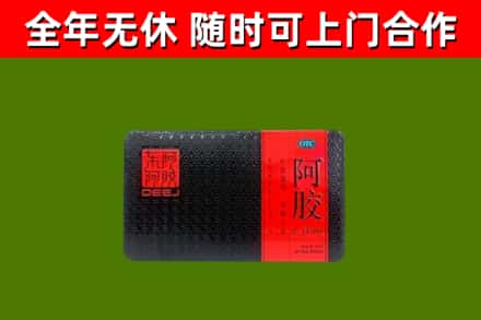 九原区回收阿胶