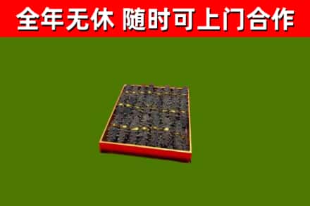 九原区回收海参